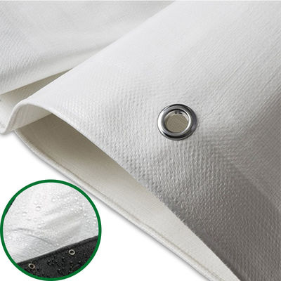 Πράσινο 5OZ 6OZ Μπλε-ασημί Οικονομικό μουσαμάς PE μουσαμάς Αδιάβροχο ύφασμα μουσαμάς Υλικό Πλαστικό φύλλο